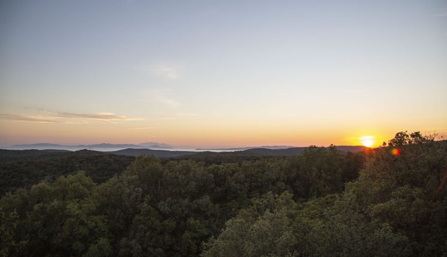 Viaggi in Toscana